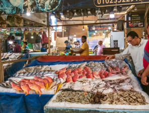 Seafood Prices Surge Amid Climate Warnings